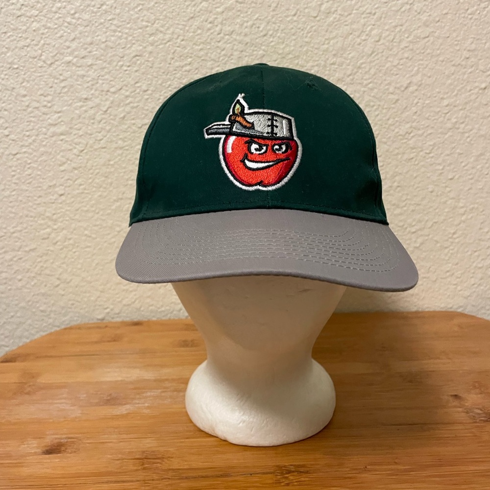 Fort Wayne Tincaps Baseball Hat